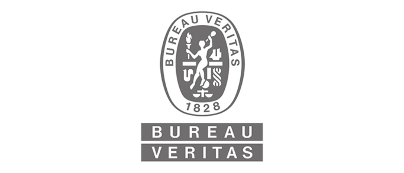 BV gray logo for web